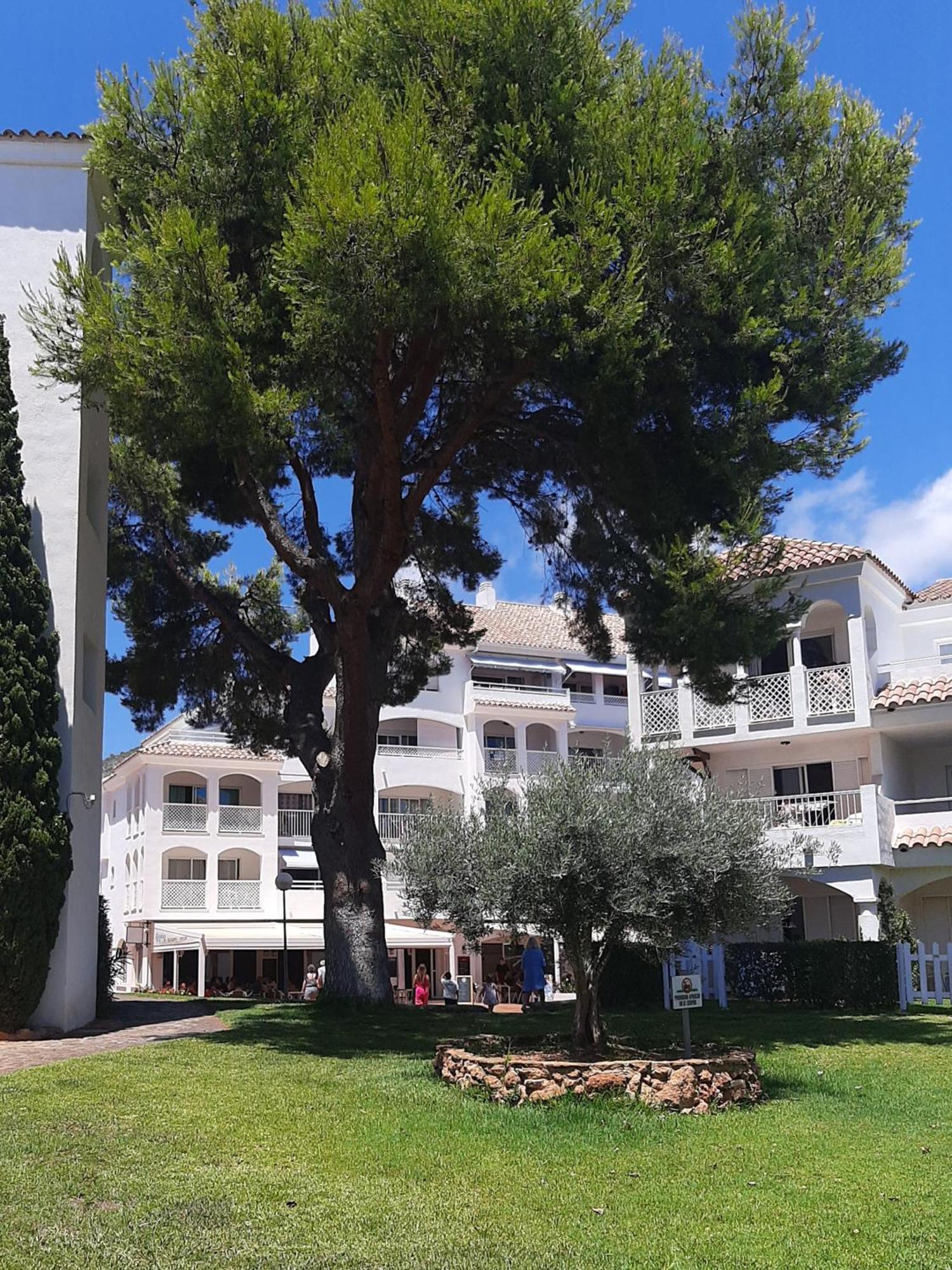Apcostas - Complejo Al Andalus Appartement